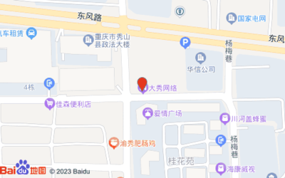 重庆大秀网络 深耕巴渝，赋能数字时代的企业先锋
