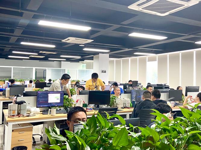 重庆海米优网络科技